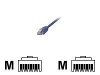 MCL Samar - Câble réseau - RJ-45 (M) pour RJ-45 (M) - 3 m - FTP - CAT 5e - moulé, bloqué - bleu FCC5EBM-3M/B