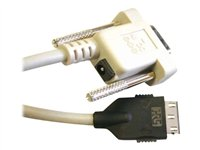 Promethean - Câble série - 8 m - pour ACTIVboard 48, 60, 75 CB-5252016S41