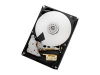 HGST Ultrastar 7K6000 HUS726060ALE610 - Disque dur - 6 To - interne - 3.5" - SATA 6Gb/s - 7200 tours/min - mémoire tampon : 128 Mo 0F23001