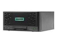 HPE ProLiant MicroServer Gen10 Plus Performance - Tour ultra micro - Xeon E-2224 3.4 GHz - 16 Go - HDD 1 To P18584-421