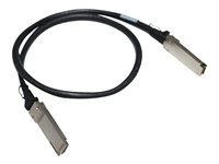 HPE X240 Direct Attach Cable - Câble réseau - QSFP+ pour QSFP+ - 1 m - pour Apollo 4200, 4200 Gen10; Edgeline e920; FlexFabric 12900E 36, 12XXX; ProLiant e910t 2U JG326A