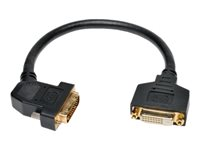 Tripp Lite 1ft DVI Dual Link Digital Extension Adapter Cable 45 Degree Left Plug DVI-D M/F 1' - Rallonge de câble DVI - liaison double - DVI-D (M) pour DVI-I (F) - 30 cm - connecteur à 45°, moulé P562-001-45L