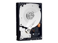 Dell - Disque dur - chiffré - 8 To - échangeable à chaud - 3.5" - SAS 12Gb/s - NL - 7200 tours/min - Self-Encrypting Drive (SED) - pour PowerVault MD1200 (3.5"), MD3200i (3.5"), MD3400 (3.5"), MD3800F (3.5"), MD3800i (3.5") 400-AMRX