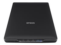 Epson Perfection V39 - Scanner à plat - Capteur d'images de contact (CIS) - A4 - 4800 dpi x 4800 dpi - USB 2.0 B11B232401