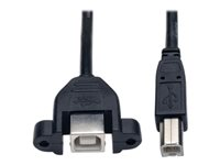 Tripp Lite 1ft Panel Mount USB 2.0 Extension Cable USB B to Panel Mount B Male / Female 1' - Rallonge de câble USB - USB type B (F) pour USB type B (M) - USB 2.0 - 30.5 cm - moulé - noir U025-001-PM