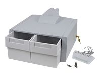 Ergotron Primary Double Tall Drawer - Composant de montage (module à 2 tiroirs, diviseur de tiroir) pour médicament - verrouillable - médical - gris, blanc - montable sur chariot 97-977