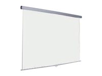 Oray Super Gear Pro Square format - Écran de projection - montable au plafond, montable sur mur - 84" (213 cm) - 1:1 - blanc mat - finition époxyde gris MPP08B1150150