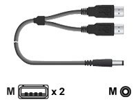 Chip PC - Câble d'alimentation - USB (alimentation uniquement) (M) pour power DC jack (M) - 1.8 m - pour Jack PC; Xtreme PC CPN03788