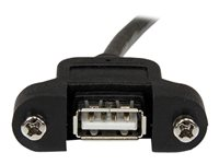 StarTech.com Câble USB Montage sur Panneau A Femelle vers B Mâle - Extension Panneau Montage USB F/M - Port USB A Femelle - 91 cm - Rallonge de câble USB - USB (F) pour USB type B (M) - USB 2.0 - 91.4 cm - noir USBPNLAFBM3