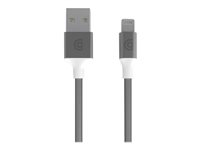 Griffin Premium - Câble Lightning - USB (M) pour Lightning (M) - 3 m - argent - pour Apple iPad/iPhone/iPod (Lightning) GC43436