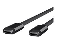 DLH - Câble USB - 24 pin USB-C (M) pour 24 pin USB-C (M) - USB 3.2 Gen 2 - 5 A - 2 m - Alimentation USB (100 W) - noir DY-TU4815B