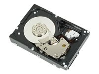 Dell - Disque dur - 1 To - interne - 3.5" - SATA 6Gb/s - 7200 tours/min - pour PowerEdge T130 (3.5"), T30 (3.5"), T430 (3.5") 400-AFYB
