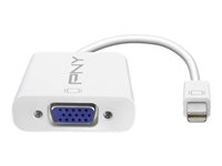 PNY - Carte d'écran - Mini DisplayPort (M) pour HD-15 (VGA) (F) A-DM-VG-W01-RB