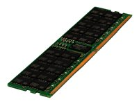 HPE SmartMemory - DDR5 - module - 64 Go - DIMM 288 broches - 4800 MHz / PC5-38400 - CL40 - mémoire enregistré - pour ProLiant DL325 Gen11, DL345 Gen11, DL385 Gen11 P50312-B21