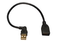 Tripp Lite 10in USB Extension Cable A/A USB-A Male / Female 10" - Rallonge de câble USB - USB (M) pour USB (F) - 25.4 cm - moulé - noir U005-10I