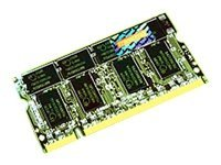 Transcend - DDR - module - 512 Mo - SO DIMM 200 broches - 333 MHz / PC2700 - CL2.5 - 2.5 V - mémoire sans tampon - non ECC TS64MSD64V3J