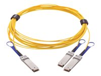 Mellanox - Câble d'attache directe 200GBase - QSFP28 pour QSFP28 - 3 m - fibre optique - SFF-8665 - sans halogène, actif MFS1S50-H003E