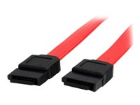 StarTech.com Câble SATA de 20 cm - Cordon Serial ATA en rouge - Câble SATA - Serial ATA 150/300 - SATA (F) pour SATA (F) - 20.3 cm - rouge - pour P/N: SATBP125VP, USB2SATAIDE, USB3SSATAIDE SATA8
