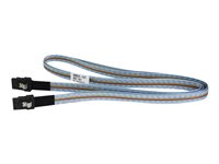 HPE Fanout Cable - Câble externe SAS - 4 voies - 36 pin 4x Mini SAS HD (SFF-8644) (M) pour 36 pin 4x Mini SAS HD (SFF-8644) (M) - 2 m - pour StorageWorks MSL2024; StoreEver MSL3040, MSL6480 P35176-B21