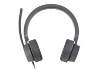 Lenovo Go - Micro-casque - sur-oreille - filaire - Suppresseur de bruit actif - USB-C - gris orage - Certifié pour Microsoft Teams - pour IdeaPad S340-14; ThinkCentre M90a Gen 3; M90a Pro Gen 3; M90t Gen 3; ThinkCentre neo 70 GXD1C99243