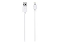 Belkin Charge/Sync Cable - Câble Lightning - Lightning (M) pour USB (M) - 2 m - blanc - pour Apple iPad/iPhone/iPod (Lightning) F8J023BT2M-WHT