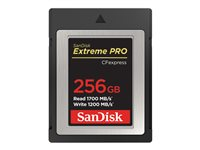 SanDisk Extreme Pro - Carte mémoire flash - 256 Go - CFexpress SDCFE-256G-GN4IN