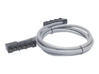 APC Data Distribution Cable - Câble réseau - Conformité TAA - RJ-45 (F) pour RJ-45 (F) - 1.5 m - UTP - CAT 5e - colonne montante - gris DDCC5E-005