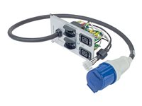 APC - Unité de distribution d'alimentation - CA 230 V - entrée : alimentation - connecteurs de sortie : 3 (IEC 60320 C19, IEC 60309) - pour Symmetra RM 12kVA, 2kVA, 4kVA, 6, 8kVA SYPD10