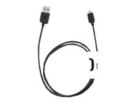 Ergotron Tablet Management Lightning to USB Cable Kit - Câble Lightning - Lightning (M) pour USB (M) - 58 cm - noir (pack de 16) - pour Apple iPad/iPhone/iPod (Lightning) 97-800