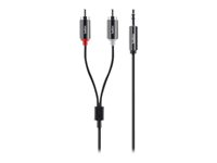 Belkin - Câble audio - RCA x 2 (M) pour mini jack stéréo (M) - 1.8 m AV10092BT1.8M