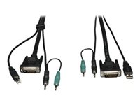 Tripp Lite 15ft Cable Kit for Secure DVI / USB / Audio KVM Switches 15' - Câble vidéo / USB / audio - USB, mini jack stéréo, DVI-D (M) pour mini jack stéréo, USB type B, DVI-D (M) - 4.6 m - moulé - noir P759-015