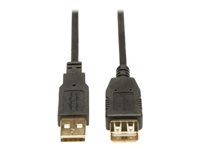 Tripp Lite Câble d' extension USB 2.0 haute vitesse (A M/F) 3,05 m - Câble USB - USB (M) pour USB (F) - USB 2.0 - 3 m - noir U024-010