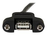 StarTech.com Câble USB Montage sur Panneau A Femelle vers A Mâle - Extension Panneau Montage USB F/M - Port USB A Femelle - 91 cm - Rallonge de câble USB - USB (F) pour USB (M) - USB 2.0 - 91.4 cm - noir - pour P/N: UUSBOTG USBPNLAFAM3
