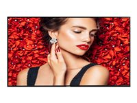 Philips 43BDL4031D - Classe de diagonale 43" (42.5" visualisable) - D-Line écran LCD rétro-éclairé par LED - signalisation numérique 1920 x 1080 - éclairage périphérique 43BDL4031D/00