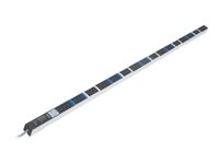 Knürr DI-STRIP Basic Rack PDU - Unité de distribution secteur (rack-montable) - CA 230 V - connecteurs de sortie : 9 (IEC 60320 C13) - 0U 036020091