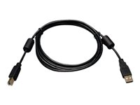 Eaton Tripp Lite Series USB 2.0 A to B Cable with Ferrite Chokes (M/M), 6 ft. (1.83 m) - Câble USB - USB (M) pour USB type B (M) - USB 2.0 - 1.8 m - moulé - noir U023-006