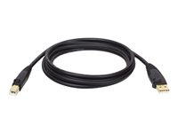 Eaton Tripp Lite Series USB 2.0 A to B Cable (M/M), 6 ft. (1.83 m) - Câble USB - USB (M) pour USB type B (M) - USB 2.0 - 1.8 m - noir U022-006